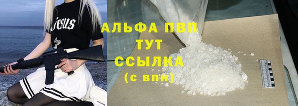 спайс Арсеньев