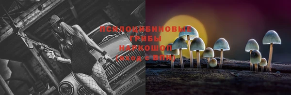 mdpv Аркадак