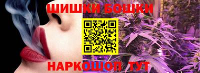 гидра Партизанск