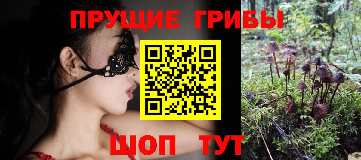 Галлюциногенные грибы мухоморы  Псилоцибиновые грибы ЛСД  Вход с VPN  Барабинск 